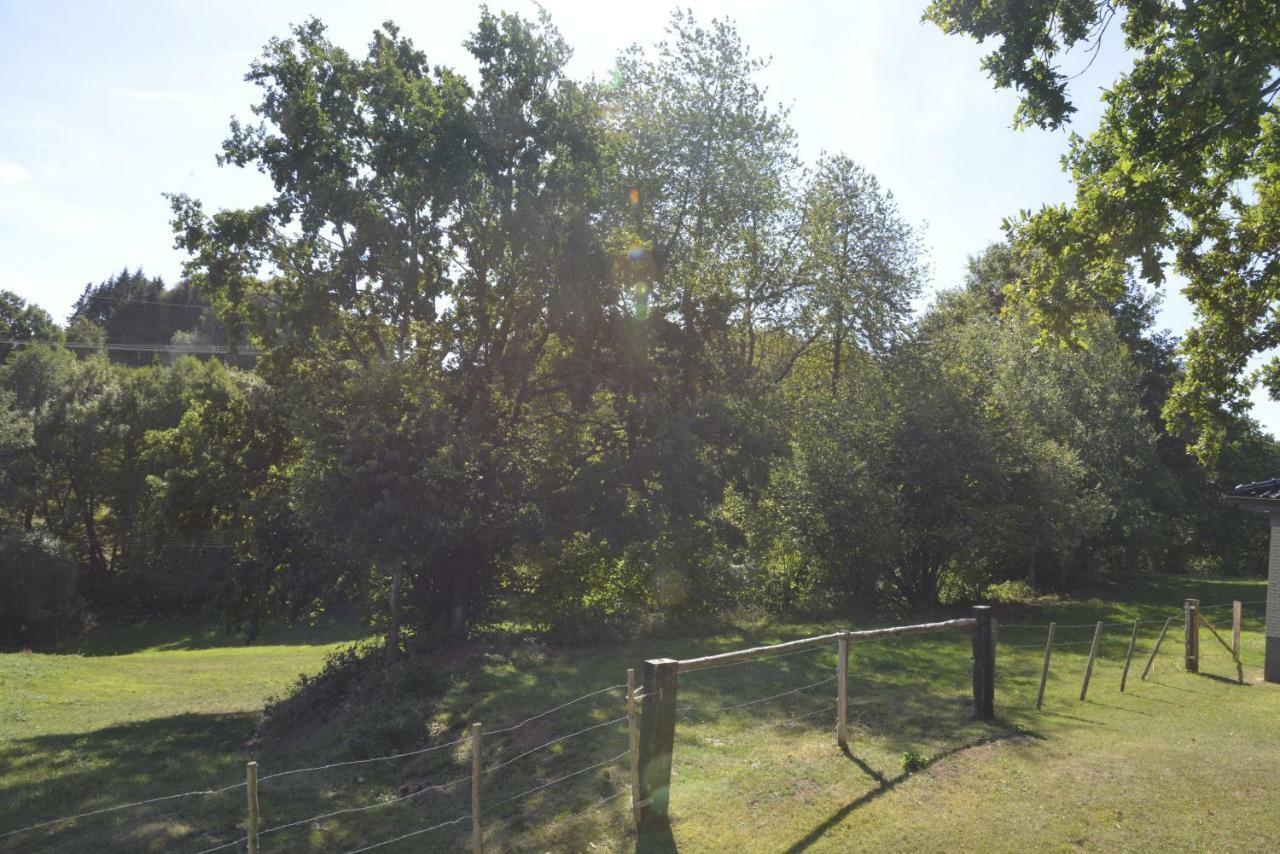 Appartamento Alte Schule 1 Kall Esterno foto